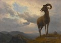 BIGHORN SHEEP Américain Albert Bierstadt